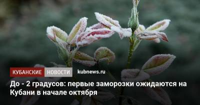 До - 2 градусов: первые заморозки ожидаются на Кубани в начале октября - kubnews.ru - Краснодарский край - Новороссийск