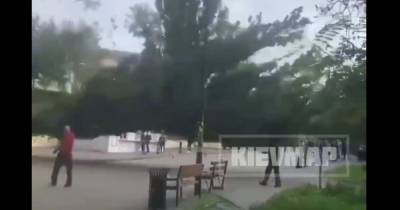 В Киеве огромный тополь рухнул в метре от студентов КПИ (видео) - focus.ua - Украина - Киев