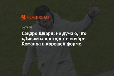 Сандро Шварц - Сандро Шварц: не думаю, что «Динамо» просядет в ноябре. Команда в хорошей форме - championat.com - Москва