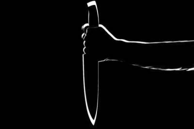 На месте убийства трёх девушек в Оренбургской области найден нож - aif.ru - Оренбургская обл. - Гай