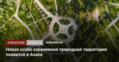 Новая особо охраняемая природная территория появится в Анапе - kubnews.ru - Анапа - Краснодарский край - Экология