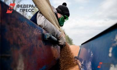 Два миллиона тонн зерна собрали в Красноярском крае - fedpress.ru - Красноярский край - Красноярск