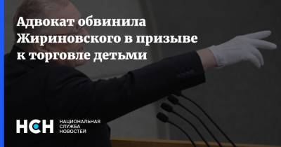 Адвокат обвинила Жириновского в призыве к торговле детьми - nsn.fm - Россия