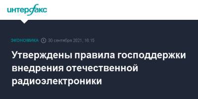 Михаил Мишустин - Дмитрий Чернышенко - Утверждены правила господдержки внедрения отечественной радиоэлектроники - interfax.ru - Москва