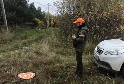 В Тверской области волонтеры просят помощи в поисках пропавшей в лесу бабушки – нужны беспилотники и охотничьи собаки - afanasy.biz - Тверь - Тверская обл.