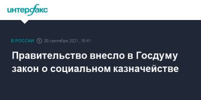 Правительство внесло в Госдуму закон о социальном казначействе - interfax.ru - Москва - Россия