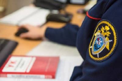В Колпино задержали женщину, выбросившую свою новорожденную дочь в реку - ivbg.ru - Украина - Ленобласть