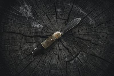 Подозреваемый в 45 ударах ножом два месяца общался с жертвой в Telegram от имени девушки, а задержали его на пути в Армению - ivbg.ru - Украина - Ленинградская обл. - Санкт-Петербург - Армения