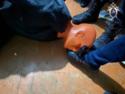Подростки насмерть избили пожилого соседа в Володарском районе - vgoroden.ru - Россия - Нижегородская обл. - Володарск - Следственный Комитет