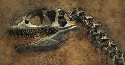 королева Марья - Палеонтологи нашли в Британии два новых хищных вида динозавров - ren.tv - Англия - Великобритания
