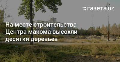 На месте строительства Центра макома высохли десятки деревьев - gazeta.uz - Узбекистан - Ташкент - район Шайхантахурский - Экология