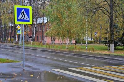 Более 1,7 тысячи пешеходов-нарушителей нашли сотрудники ГИБДД Москвы в ходе рейда 28 сентября - vm.ru - Москва