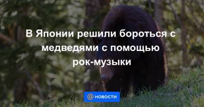 В Японии решили бороться с медведями с помощью рок-музыки - news.mail.ru - Япония