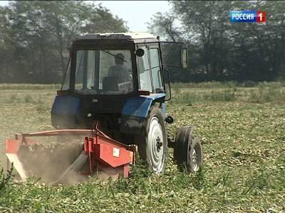 На Дону хозяйства собрали 75% овощей - dontr.ru - Ростовская обл.