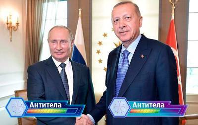 Владимир Путин - Реджеп Тайип Эрдоган - Путин и Эрдоган померялись антителами - bloknot.ru - Россия - Сочи - Турция