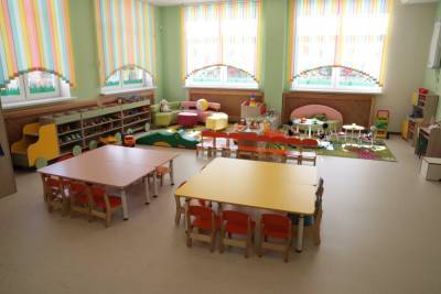 Дефицит детских садов в Шушарах пообещали ликвидировать через год - abnews.ru - Санкт-Петербург - район Пушкинский