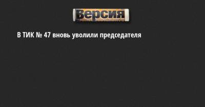 Анастасия Матросова - В ТИК № 47 вновь уволили председателя - neva.versia.ru