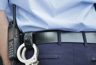 У петербуржцев во владении находятся 333 тысячи единиц оружия – передали в Росгвардии - online47.ru - Россия - Петербурга