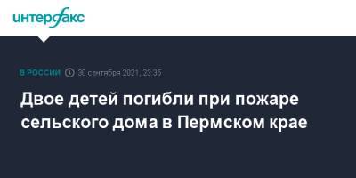 Двое детей погибли при пожаре сельского дома в Пермском крае - interfax.ru - Москва - Россия - Пермский край