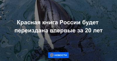 Красная книга России будет переиздана впервые за 20 лет - news.mail.ru - Россия