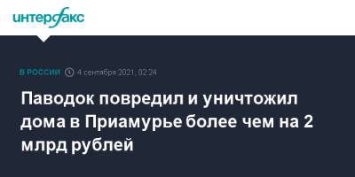 Владимир Путин - Василий Орлов - Паводок повредил и уничтожил дома в Приамурье более чем на 2 млрд рублей - interfax.ru - Москва - Россия - Амурская обл.