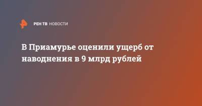 Владимир Путин - Василий Орлов - В Приамурье оценили ущерб от наводнения в 9 млрд рублей - ren.tv - Россия - Амурская обл.