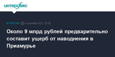 Владимир Путин - Василий Орлов - Около 9 млрд рублей предварительно составит ущерб от наводнения в Приамурье - interfax.ru - Москва - Россия - Амурская обл.