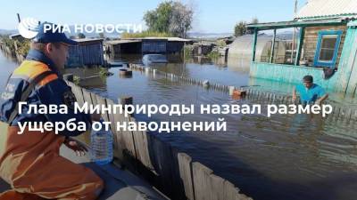 Александр Козлов - Глава Минприроды Козлов: ежегодный ущерб от наводнений достигает 75 миллиардов рублей - smartmoney.one - Россия