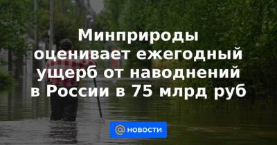 Александр Козлов - Минприроды оценивает ежегодный ущерб от наводнений в России в 75 млрд руб - news.mail.ru - Россия