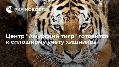 Сергей Арамилев - Директор Центра "Амурский тигр" Арамилев: сплошной учет тигров будет закончен в 2022 году - ria.ru - Россия - Владивосток - Дальний Восток