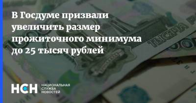 Николай Арефьев - В Госдуме призвали увеличить размер прожиточного минимума до 25 тысяч рублей - nsn.fm - Россия