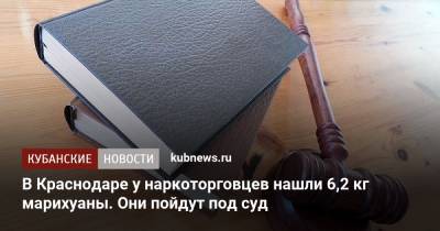 В Краснодаре у наркоторговцев нашли 6,2 кг марихуаны. Они пойдут под суд - kubnews.ru - Краснодарский край - Краснодар