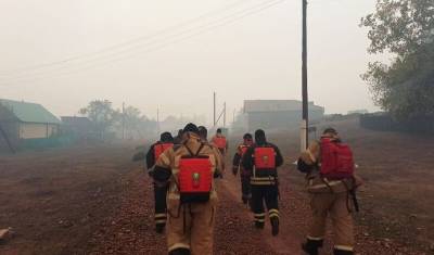 В Башкирии жители деревни, эвакуированные из-за природных пожаров, вернулись домой - mkset.ru - Башкирия - Магнитогорск - район Баймакский