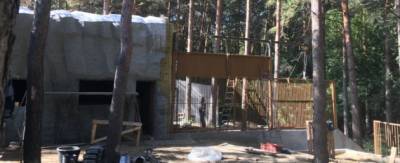 Анна Терешкова - В Новосибирском зоопарке построят вольерный комплекс для медведей - runews24.ru - Новосибирск