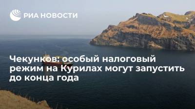 Владимир Путин - Алексей Чекунков - Глава Минвостокразвития: особый налоговый режим на Курилах могут запустить до конца года - smartmoney.one - Россия - Владивосток