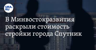 Алексей Чекунков - В Минвостокразвития раскрыли стоимость стройки города Спутник - ura.news - Россия - Владивосток - Спутник