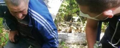 Под Новосибирском на 59-летнего мужчину упала береза - runews24.ru - Новосибирск - Новосибирская обл.