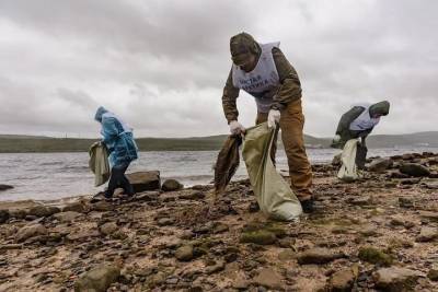 Андрей Чибис - В Мурманске высадят более 3000 сеянцев сосен - murmansk.mk.ru - Мурманск