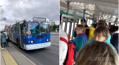 В Чебоксарах случилась потасовка в троллейбусе: «У кондуктора пошла кровь» - pg21.ru - респ. Чувашия - Чебоксары