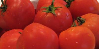 Описание сортов томатов (Мечта F1, Санька, Солярис) - skuke.net