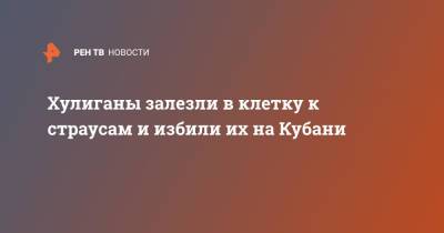 Хулиганы залезли в клетку к страусам и избили их на Кубани - ren.tv - Краснодарский край - Славянск