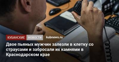 Двое пьяных мужчин залезли в клетку со страусами и забросали их камнями в Краснодарском крае - kubnews.ru - Анапа - Краснодарский край - Славянск - Геленджик