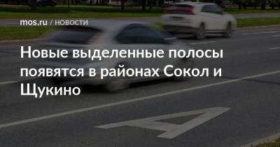 Новые выделенные полосы появятся в районах Сокол и Щукино - mos.ru - Москва