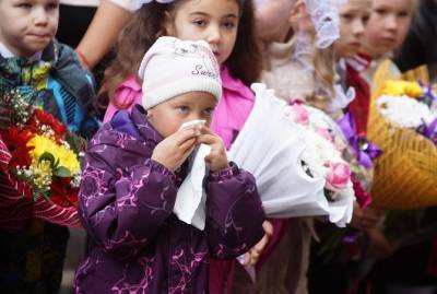Не путать с аллергией на амброзию: в сентябре нас атакуют домашние клещи - kp.ua - Украина