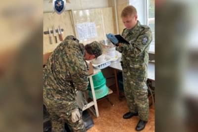 В Нижнем Новгороде возбудили дело после отправления у школьников - mk.ru - Нижегородская обл. - Нижний Новгород