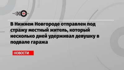 В Нижнем Новгороде отправлен под стражу местный житель, который несколько дней удерживал девушку в подвале гаража - echo.msk.ru - Нижний Новгород