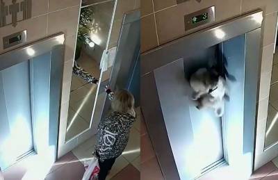 Хозяйка зашла в лифт и забыла собаку на поводке. Животное чудом спасли (видео) - sharij.net - Москва - Россия - Тверская обл. - Одесса