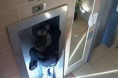 Москвич в последний момент спас собаку с застрявшим в лифте поводком - mk.ru - Москва
