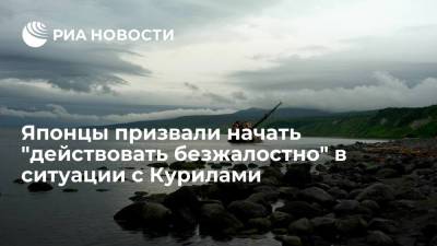 Владимир Путин - Сергей Лавров - Читатели Yahoo News Japan: Японии придется начать войну с Россией ради возвращения Курил - ria.ru - Москва - Россия - Токио - Япония