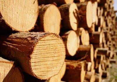 Азербайджан незначительно увеличил импорт турецкой мебели и древесины - trend.az - Турция - Азербайджан